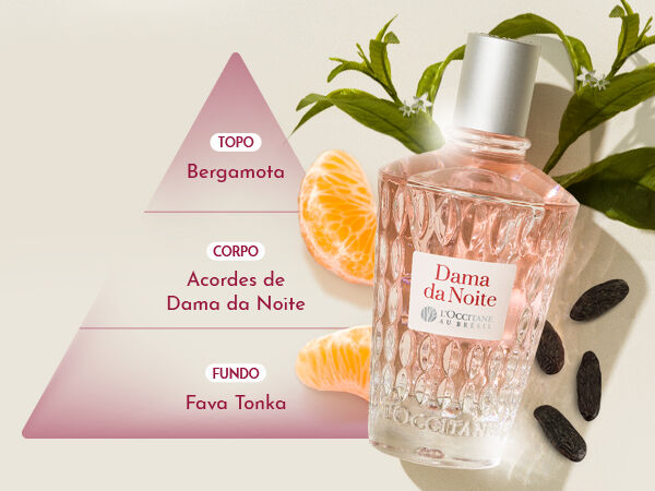 Dama da Noite (2019) L'Occitane Au Brésil perfume - a fragrance