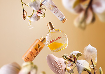 Produtos Luz de Amburana L'Occitane au Brésil