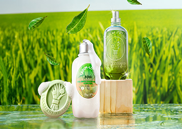 Produtos Capim-Limão Mate L'Occitane au Brésil