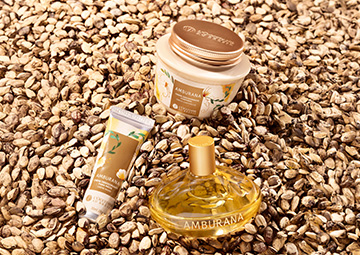 Linha Amburana