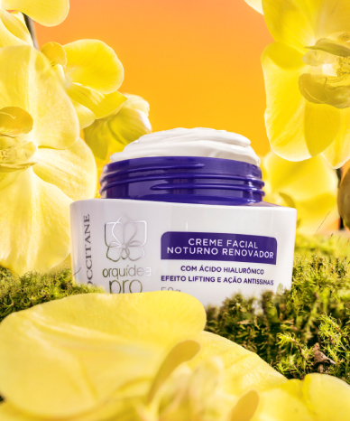 Creme Noturno L'Occitane au Brésil