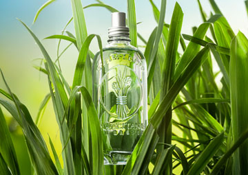 Deo Colônia Capim-Limão 100ml