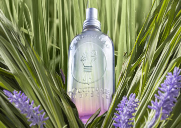 Deo Colônia Capim-Limão Alfazema 100ml