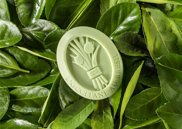 Sabonete Perfumado Capim-Limão Mate 100g