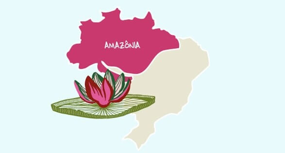 AMAZÔNIA AMAZÔNIA