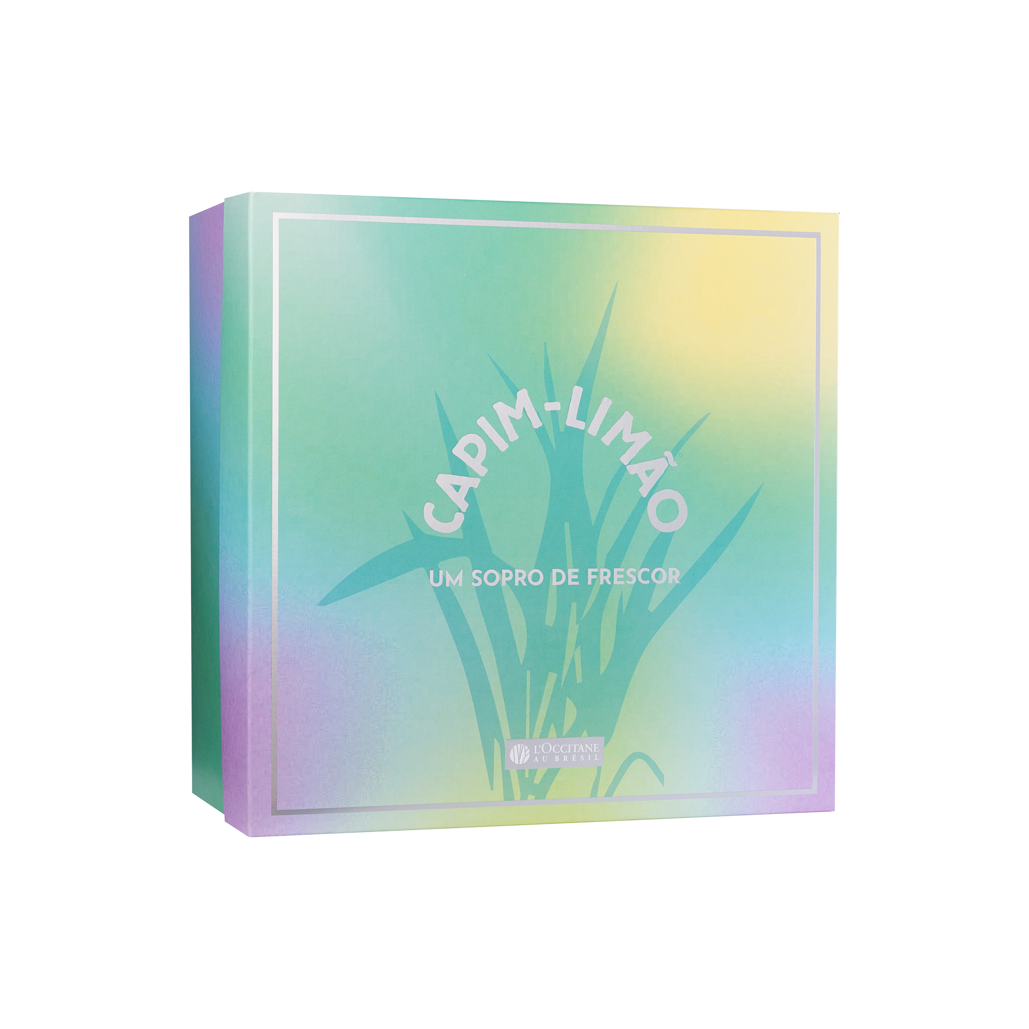 Caixa G Capim-Limão – Até 3 Produtos Grandes