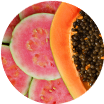 Blend Botânico