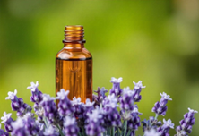 &Oacute;leo Essencial de Lavanda